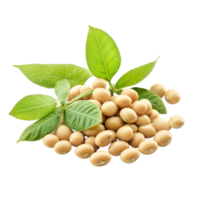 Soybean seeds with green leaves isolated on a transparent background for agricultural and culinary use in cooking, Soybean isolated png