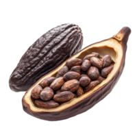 Closeup of a cacao pod with seeds, isolated on a transparent background showcasing natural textures and colors, Cacao pod isolated on transparent background png