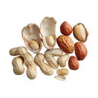 A colorful arrangement of peeled, unpeeled, and opened shell peanuts on a light surface, Group of peeled, unpeeled and opened shell peanuts png