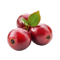 Fresh Carunda fruits with green leaves isolated on a transparent background showcasing their natural color and texture, Carunda or Karonda fruits isolated on transparent background png