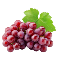 Ripe red grape berry showcases vibrant color and freshness on a clean transparent background, Ripe red grape. One berry isolated on transparent background png