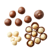 Shelled and unshelled macadamia nuts arranged on a clean transparent background for culinary and nutritional purposes, Shelled and unshelled macadamia nuts on transparent background png
