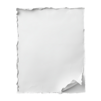 Torn transparent sheet of paper with a textured edge lying on a plain transparent background in a welllit environment, transparent sheet of paper background png