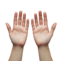 Hands with palms up, greeting and saying hello in a friendly gesture, against a simple background, Hands, palms gesturing up, saying hi, greeting, hello, bye isolated on transparent png