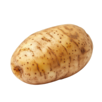 Fresh potato on a clean transparent background showcasing its natural texture and color, perfect for cooking and recipes, potato on transparent background png