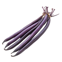 Fresh purple long beans isolated on a transparent background showcasing their vibrant color and unique shape, Purple long bean isolated on transparent background png