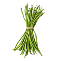 Fresh long beans arranged in a bundle, isolated on a Transparent background for culinary presentation, Long beans isolated on background png