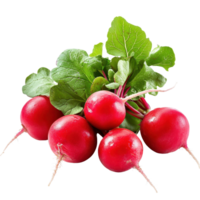 Fresh radish bunch with vibrant green leaves on white background showcasing natural produce, fresh radish on white background png