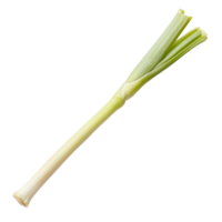 Fresh lemongrass stalk isolated on Transparent background for culinary and aromatic uses, slice of fresh Lemongrass isolated on background png