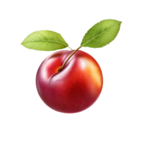Half red cherry plum with green leaf isolated on a white background, half red cherry plum with leaf isolated on white background png