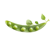 Fresh green pea pod isolated on Transparent background showcasing vibrant color and fresh appearance, pea isolated on background png