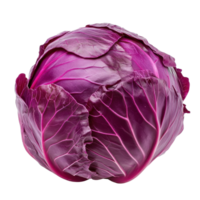 Fresh purple cabbage isolated on a clean Transparent background for culinary and health focused uses, purple cabbage isolated on background png