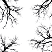 Silhouette of bare tree branches against a Transparent background showcasing intricate patterns and shapes, Silhouette bare trees branches isolated on background png