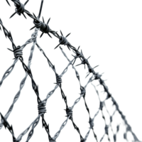 Steel barbed wire fence against a Transparent background with sharp points and twisted strands, Steel Barbed Wire Fence background png
