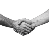 Two hands engaged in a firm handshake symbolizing agreement and support in a professional setting, Shaking hands png