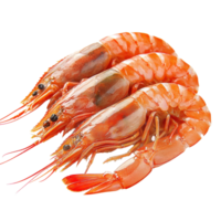 Fresh shrimps isolated on Transparent background showcasing vibrant colors and textures, shrimp isolated on background png