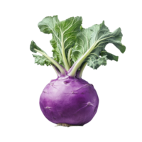 Kohlrabi with vibrant leaves and purple skin against a neutral background for culinary use, Kohlrabi isolated on alpha layer png