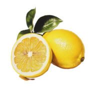 Fresh lemongrass and sliced lemon isolated on a Transparent background for culinary and health use, Lemon grassisolated on background png