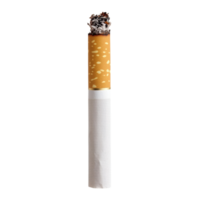 tabak sigaret Aan transparant achtergrond markeren haar eenvoud en ontwerp, single tabak sigaret Aan geïsoleerd Aan achtergrond png