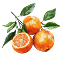 Vibrant tangerines with green leaves displayed against a Transparent background in a natural setting, Tangerines with leaves Isolate png