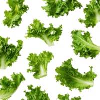 Fresh lettuce leaves arranged on a clean white background for healthy eating and culinary presentations, fresh lettuce leaves on white background png