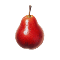 Red pear placed isolated on a clean Transparent background highlighting its texture and color, red pears isolated on background png