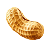 Whole peanut isolated on a transparent Transparent background showcasing its unique texture and color variations, peanut isolated on transparent background png