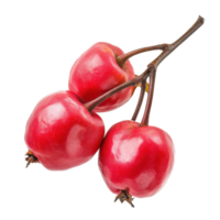 Fresh and vibrant rose apples displayed on a Transparent background showcasing their glossy skin and unique shape, Rose apples isolated on background png