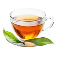 Freshly brewed tea served in a glass cup with green leaves on a Transparent background, tea fruit with leaf isolated on background png