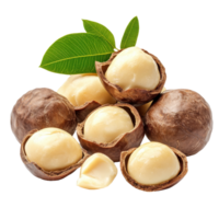 Macadamia nuts in their shells with green leaves on a Transparent background, macadamia nuts isolated on background png