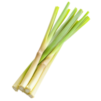 Fresh lemongrass stalks isolated on a Transparent background for culinary uses and aroma enhancement, slice of fresh Lemongrass isolated on background png