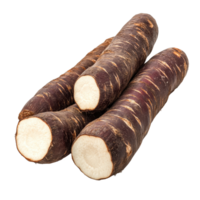 Cassava roots displayed on white background showcasing their distinctive texture and color in a detailed view, Cassava isolated on white background png