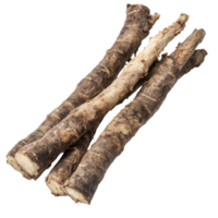 Burdock roots or kobo isolated on white background showcasing their natural texture and form, burdock roots or kobo isolated on white background png