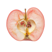 Half of a rose apple sliced open, revealing its juicy interior and seeds against a white background, half rose apple on white background png