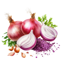 Fresh red onions and sliced pieces with green herbs on a Transparent background suitable for culinary use, onion vegetable ingredient isolated on background png