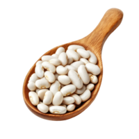 Heap of white beans resting in a wooden spoon over a clean white background for culinary use, Heap of white beans in wood spoon isolated on white background png