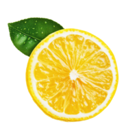 Freshly sliced lemon fruit with green leaf isolated on Transparent background showcasing vibrant color and texture, piece lemon fruit isolated, isolated on background png
