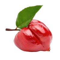 Fresh rose apple with green leaf isolated on Transparent background for natural food display, rose apple with leaf isolated on background png