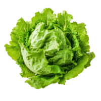 Fresh green cos lettuce presented on a clean white background for culinary use in salads and dishes, Fresh green cos lettuceisolated on white backgroundbackground png