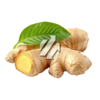 Cassumunar ginger with vibrant green leaf on white background for culinary and medicinal use, Cassumunar ginger with leafisolated on white background png