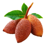 Fruit salak with fresh green leaf isolated on white background showcasing its unique texture and color, Fruit Salak with leaf isolated on white background png