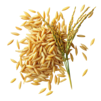 Top view of paddy rice grains and stalks on a Transparent background highlighting their natural details, Paddy rice top view on background png