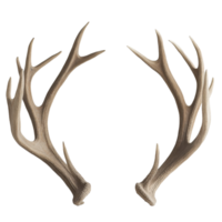 Impressive large antler rack displayed against a Transparent background showcasing natural textures and shapes, Large Antler Rack, background png