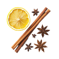 Cinnamon sticks, star anise, and dried lemon slice arranged on a white background, Cinnamon stick, star anise and dried lemon isolated on white background png