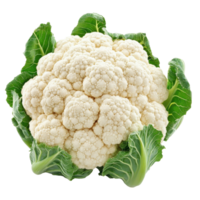 Organic cauliflower with fresh green leaves isolated on a clean Transparent background for culinary uses, Cauliflower isolated on background png