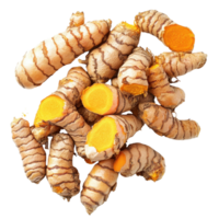 Fresh turmeric roots isolated on a Transparent background showcasing their vibrant color and unique texture, turmeric roots isolated on background png