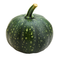 Unique green pumpkin with distinct texture displayed on a white background, Green pumpkinisolated on white background png