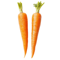 Fresh and vibrant carrots showcasing their rich orange color and lush green tops in a clean studio setting, two carrots isolated, carrot macro studio photo, isolated on Transparent background png