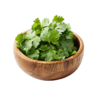 Fresh coriander leaves in a wooden bowl ready for culinary use on a Transparent background, coriander leaf in wood bowl isolated on background png