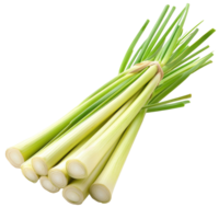 Fresh lemongrass bundled together on a white surface ready for culinary use or aromatherapy, Lemongrass isolated on Transparent background png